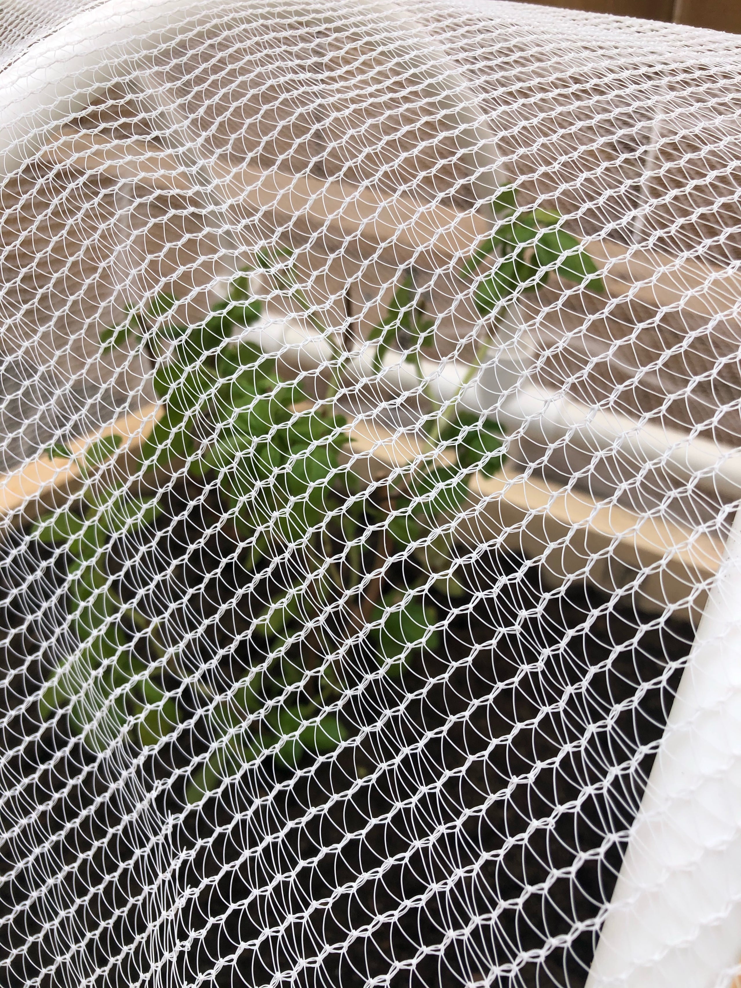 Hail Netting - protect from bird, insects, pests or hail damage.